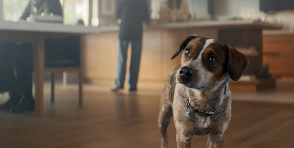 Mile Marker Agency Client Freshpet